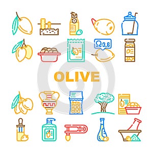 olive oil green branch leaf icons set vector