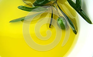 Oliva olio un verde oliva 