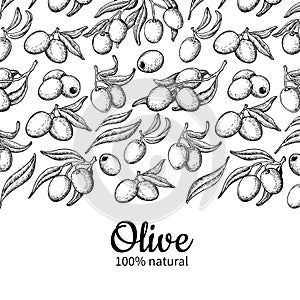 Olive oil label. Hand drawn vector illustration of branch with b
