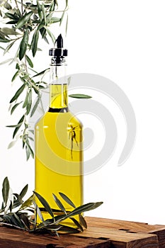 Olive Oil with Olive Tree Branches