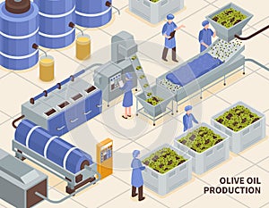 Olive Oil Production Isometric