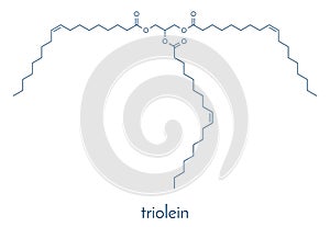 Olive oil triglyceride (glyceryl trioleate, triolein). Example of an olive oil triglyceride, containing 3 oleic acid moieties.