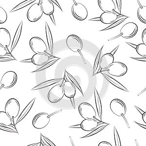 Olive pattern line art isolated