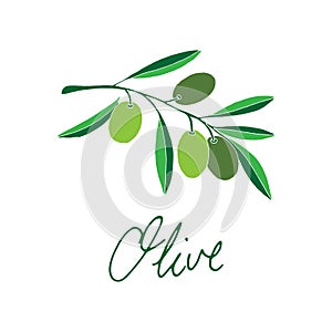 Olive on simple white background with typography