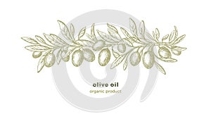 Olive sketch pattern Vector hand draw illustration
