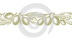 Olive sketch seamless border. Engraved fruit, leaf
