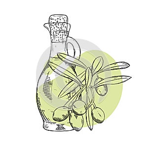 Olive sprig branch hand drawn sketch. Bottle, decanter with olive oil. Engraving style vector illustration. Can be used