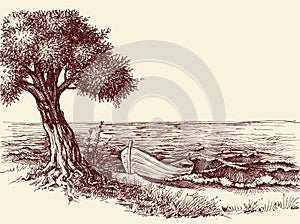 Olive tree wallpaper