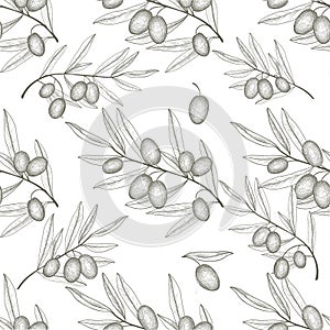 Olive tree branch with olives sketch. Nature pattern. food ingredient background