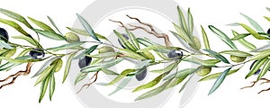 Olive tree branch seamless border with fruit and leaves watercolor element. Elegant branch border with green leaves