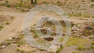 Olive tree branch waving in wind over remains of ancient buildings in Greece