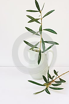 Olive tree branches in pitcher, white background, mockup, styled image for social media