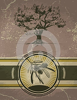 Olive tree and label on vintage background