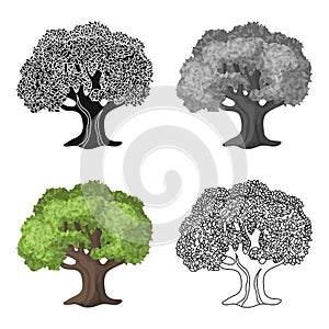 Olive Tree.Olives single icon in cartoon style vector symbol stock illustration web. photo