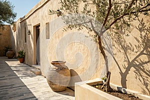 Olive tree shadow on rustic wall