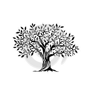 Olive tree silhouette icon isolated on white background.