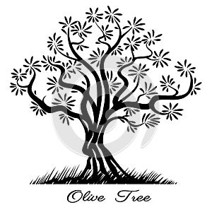 Olive tree silhouette