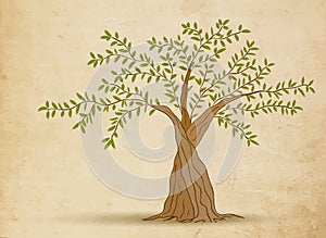 Olive tree vector