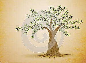 Olive tree vector