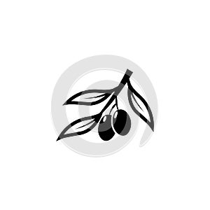 Olive tree vector illustration