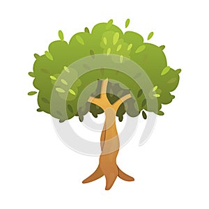 Olive tree vector illustration in cartoon style.