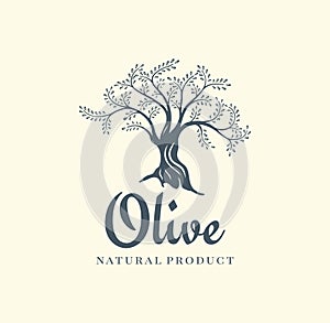 Olive tree vector logo design template for oil. Tree olive silhouette