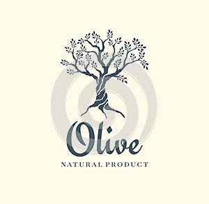 Olive tree vector logo design template for oil. Tree olive silhouette