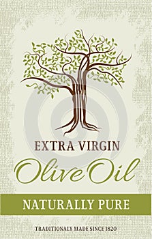 Olive tree vintage label. Vector design.