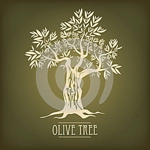 Olive tree on vintage paper. Olive oil. Vector olive tree. For labels, pack.