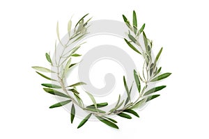 Olive tree wreath