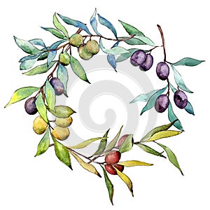 Olive tree wreath in a watercolor style.