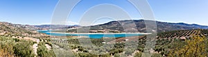 Olive trees around Lake Iznajar in Andalucia