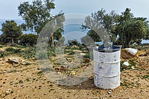 Olive trees near Giola Natural Pool in Thassos island, Greece