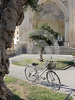 Olive Trees and a parked bicycle