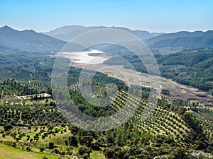 Olive trees plantations and Tranco reservoir from Hornos de Segura village, Spain photo