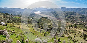 Olive trees plantations and Tranco reservoir from Segura de la Sierra village, Spain photo