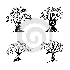 Olive trees silhouette icon set isolated on white background. Oil vector sign. Premium quality illustration logo design