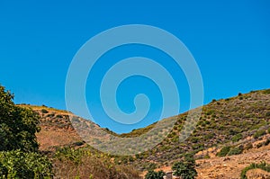 Olive trees on the slopes of the mountains. Crete. Greece