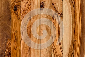 Olive wood background. Natural planks from olive tree, wooden texture