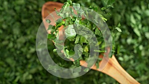 Olive Wood Spoon with Chopped Parsley Falling onto Green Herbs in Slow Motion (Phantom Flex)