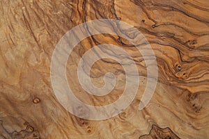 Olive wood texture background. Vintage wood. Surface of texture with natural pattern. Close up cross section of tree texture