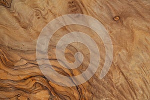 Olive wood texture background. Vintage wood. Surface of texture with natural pattern. Close up cross section of tree texture