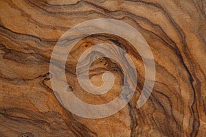 Olive wood texture background. Vintage wood. Surface of texture with natural pattern. Close up cross section of tree texture