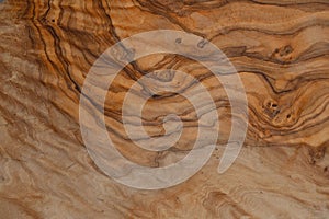 Olive wood texture background. Vintage wood. Surface of texture with natural pattern. Close up cross section of tree texture