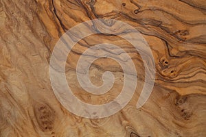 Olive wood texture background. Vintage wood. Surface of texture with natural pattern. Close up cross section of tree texture