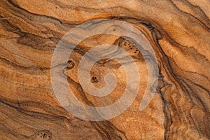 Olive wood texture background. Vintage wood. Surface of texture with natural pattern. Close up cross section of tree texture