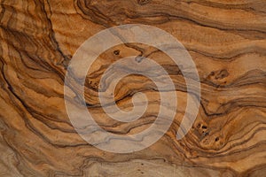 Olive wood texture background. Vintage wood. Surface of texture with natural pattern. Close up cross section of tree texture