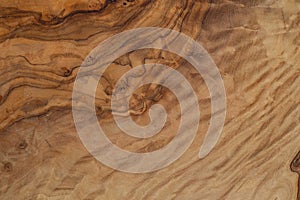 Olive wood texture background. Vintage wood. Surface of texture with natural pattern. Close up cross section of tree texture