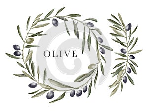 Olive wreath in watercolor style on white background.