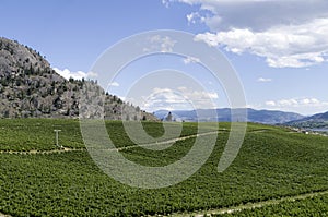 Okanagan Valley wine country 10 photo